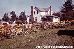 The Gill Farmhouse